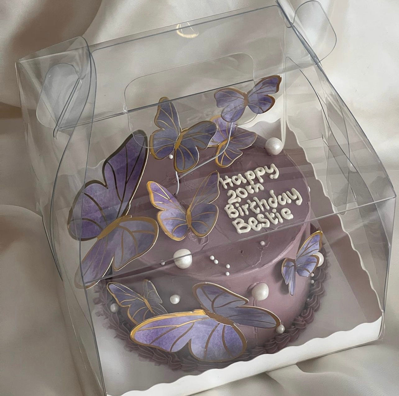 Butterfly lunchbox cake